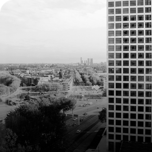 IT diensten Rotterdam