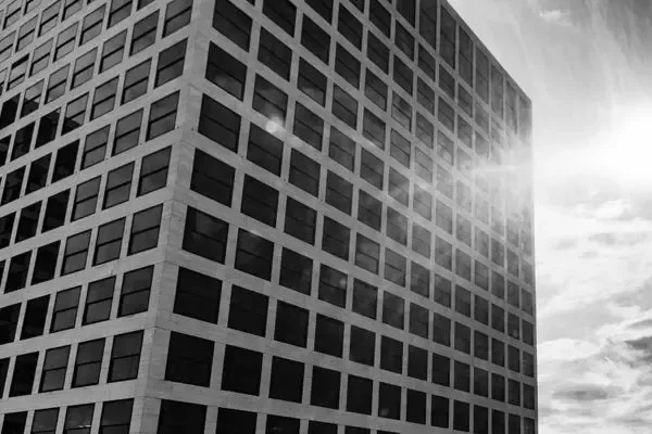 IT bedrijf Rotterdam